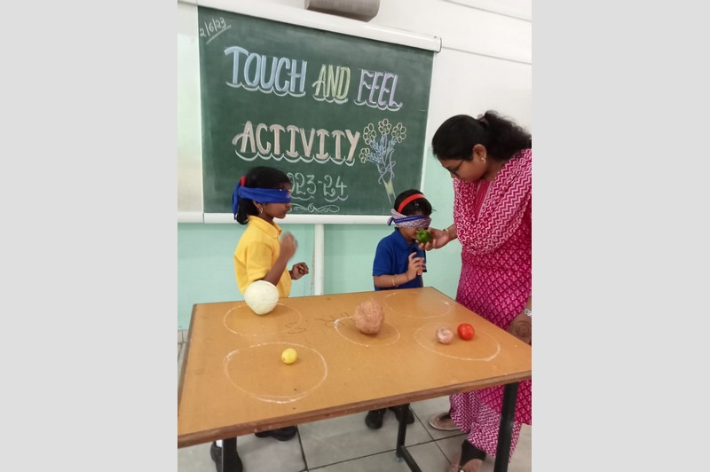 Touch and feel activity