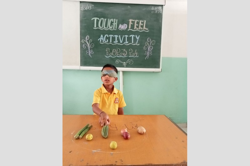 Touch and feel activity