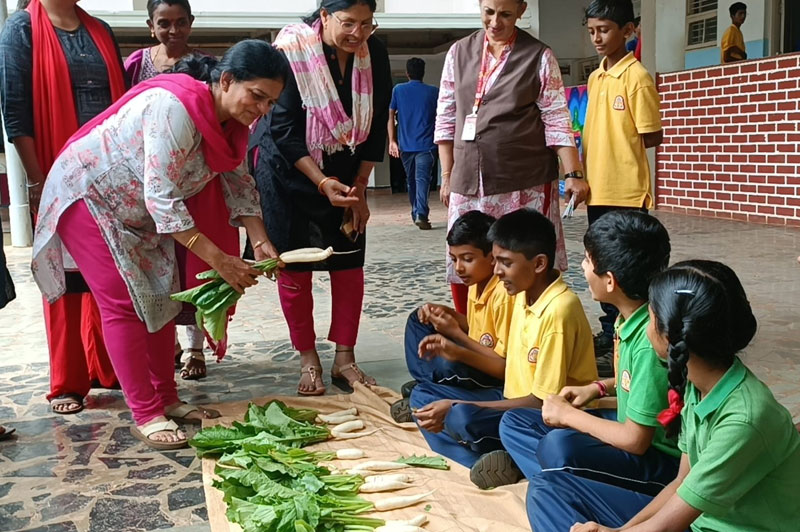 Kitchen Garden